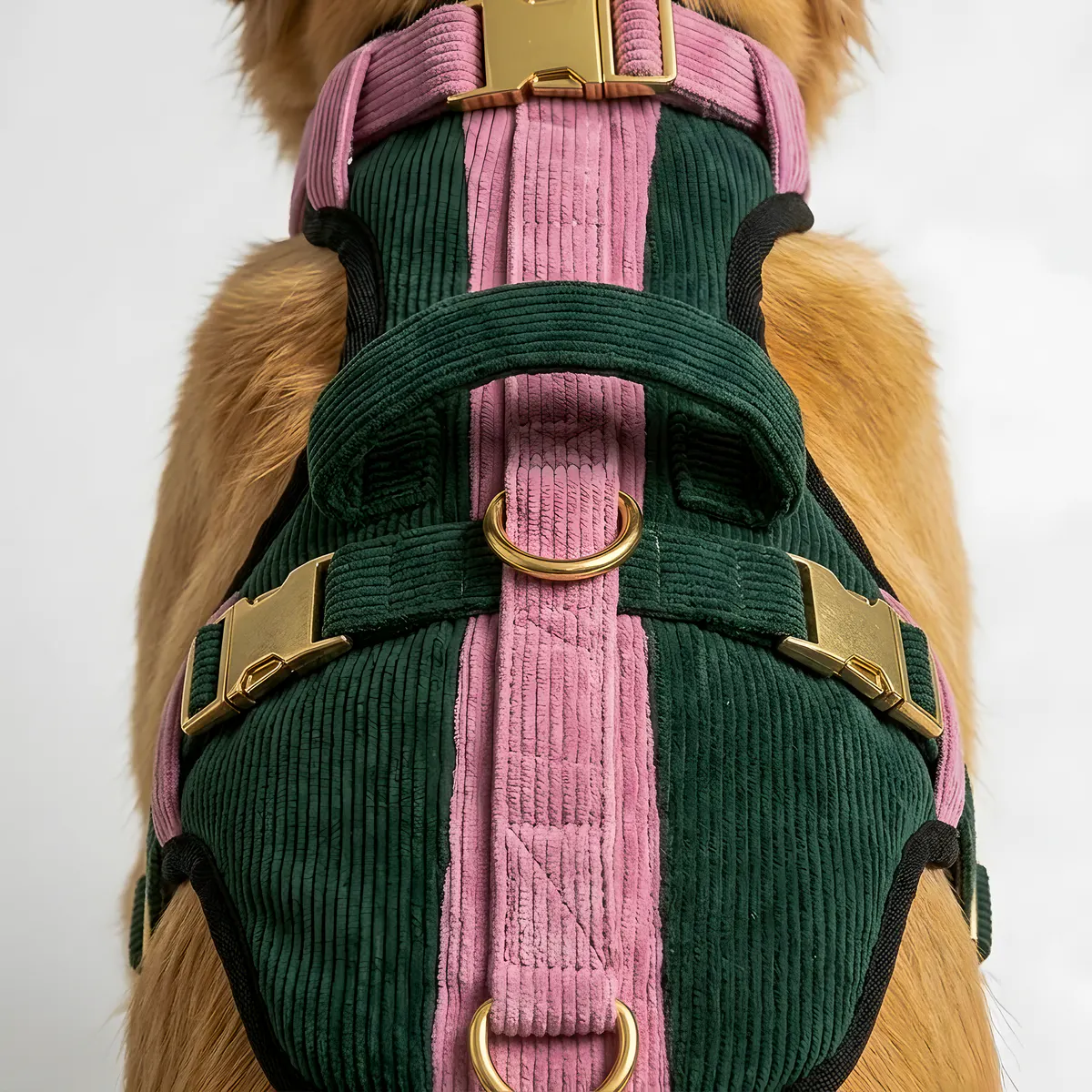 Contour Harness in Blush Moss: green corduroy body with pink webbing and brass D-ring