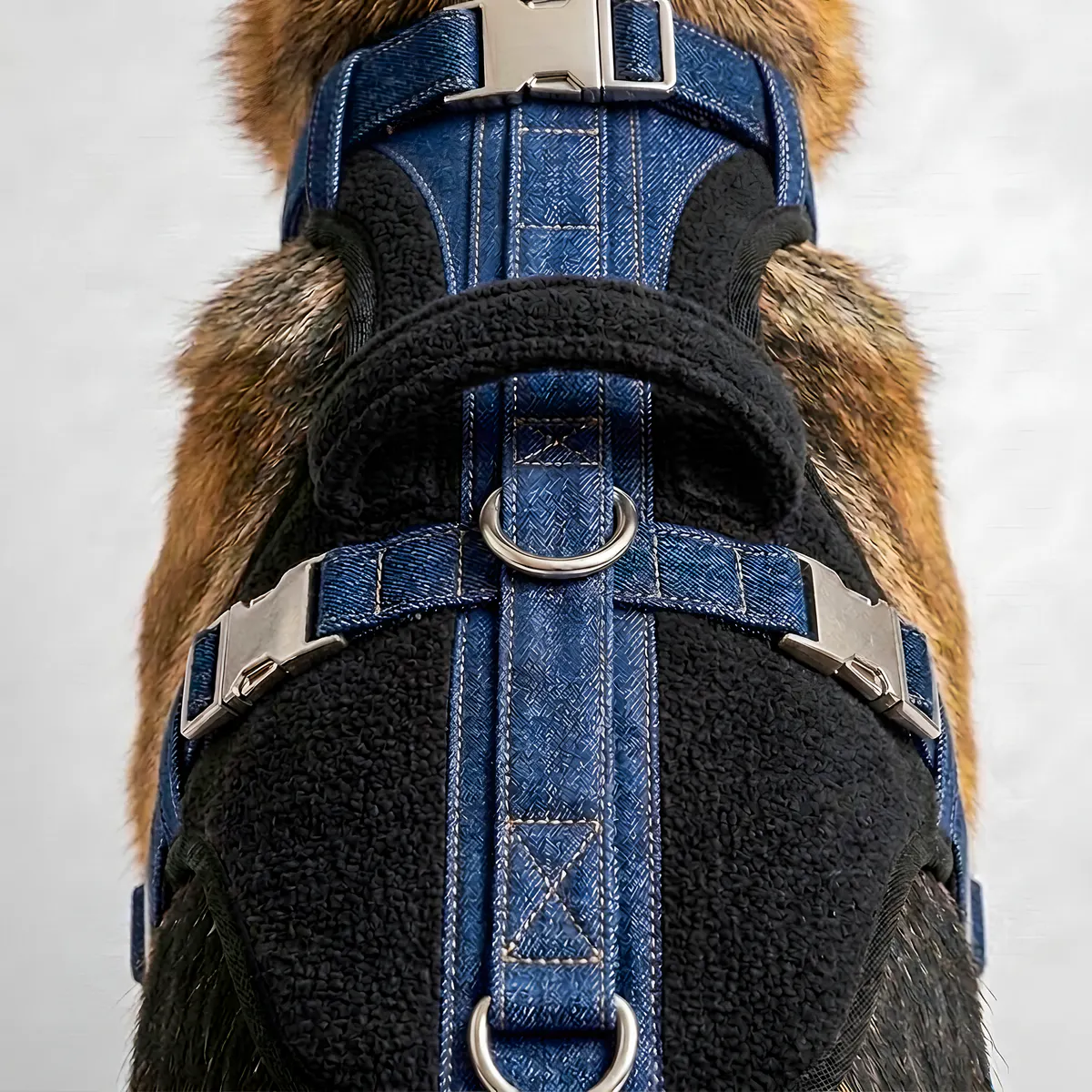 Denim Core Contour Harness: denim body with black webbing