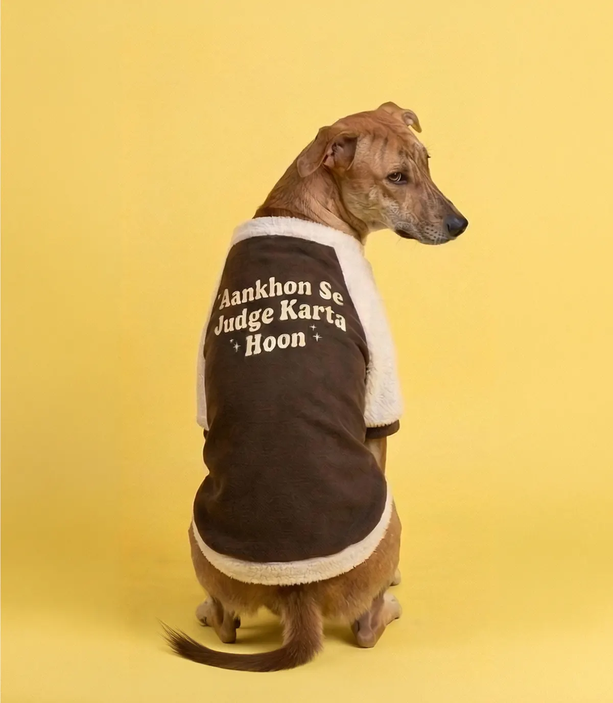 Dog in the 'Aankhon Se Judge Karta Hoon' sweatshirt on a mustard backdrop