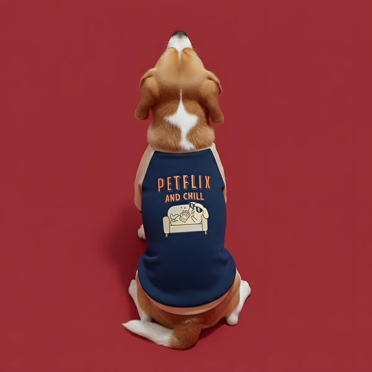 Beagle in the 'Petflix and Chill' sweatshirt on a wine backdrop