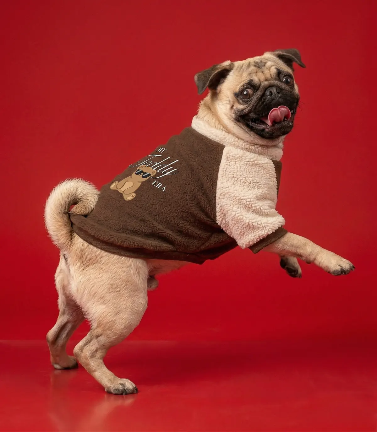 Pug playing in the 'In My Teddy Era' sweatshirt